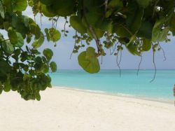 Seven Mile Beach