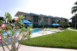 Flowers at Pool