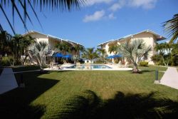 Walkway to pool with Palm shadow