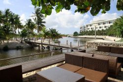 Camana Bay Restaurant View