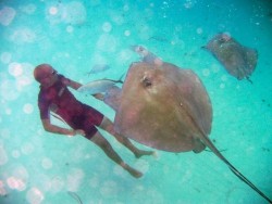 Swimming Under The Rays 