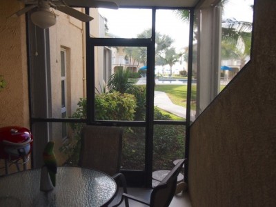 View from Patio